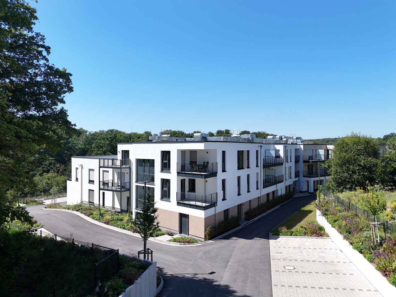 limes living aktuelles